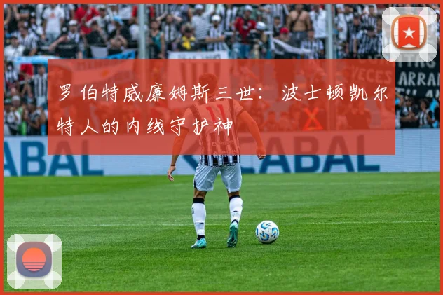 罗伯特威廉姆斯三世：波士顿凯尔特人的内线守护神